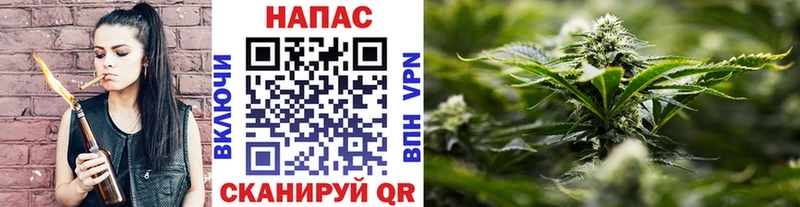 где купить   Карабулак  Каннабис SATIVA & INDICA 